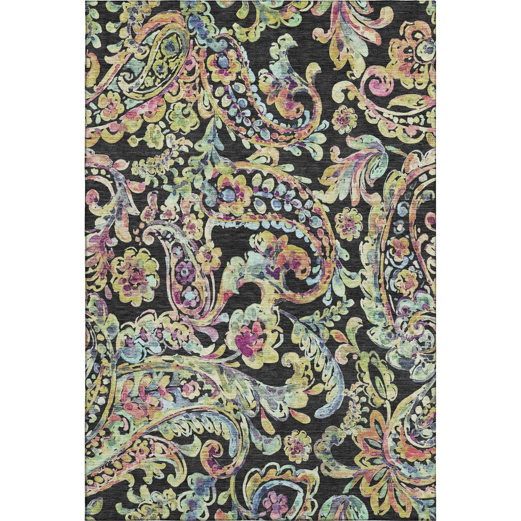 Piper Looms Mayfield Paisley AMF834 Black Machine Washable Area Rug main image