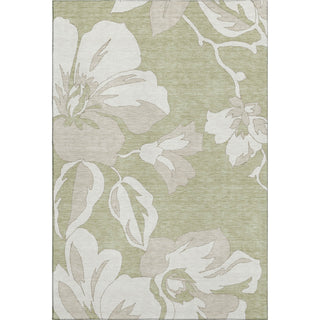 Piper Looms Mayfield Floral AMF857 Aloe Machine Washable Area Rug main image