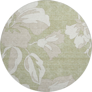 Piper Looms Mayfield Floral AMF857 Aloe Machine Washable Area Rug Round Main Image