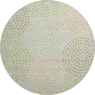 Piper Looms Mayfield Circles AMF882 Aloe Machine Washable Area Rug Round Main Image