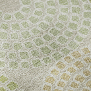 Piper Looms Mayfield Circles AMF882 Aloe Machine Washable Area Rug Swatch Image
