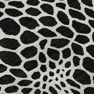 Piper Looms Mayfield Geometric AMF919 Black Machine Washable Area Rug Swatch Image
