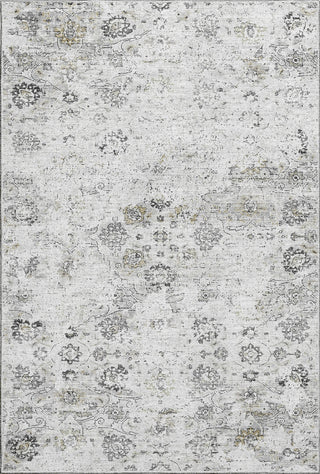 Piper Looms Mayfield Ornate AMF92 Dove Machine Washable Area Rug main image