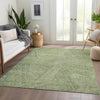 Piper Looms Mayfield Lines AMF991 Aloe Machine Washable Area Rug Lifestyle Image Feature