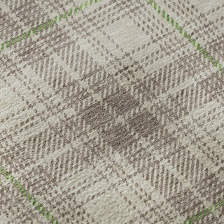 Piper Looms Mayfield Plaid AMF993 Beige Machine Washable Area Rug Swatch Image