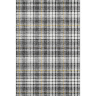 Piper Looms Mayfield Plaid AMF993 Charcoal Machine Washable Area Rug main image