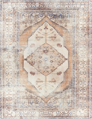 Livabliss Amelie AML-2312 Area Rug