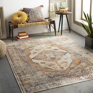 Livabliss Amelie AML-2312 Area Rug