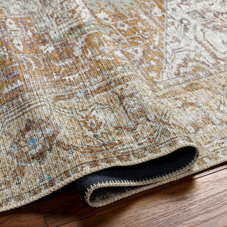 Livabliss Amelie AML-2367 Area Rug Pile