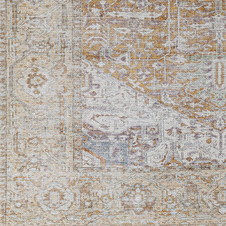 Livabliss Amelie AML-2367 Area Rug Swatch