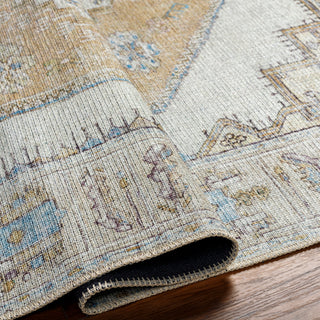 Livabliss Amelie AML-2369 Area Rug Pile