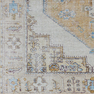 Livabliss Amelie AML-2369 Area Rug Swatch