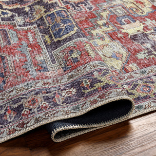 Livabliss Amelie AML-2372 Area Rug Pile