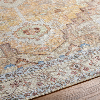 Livabliss Amelie AML-2373 Area Rug Detail