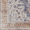 Livabliss Amelie AML-2374 Area Rug Swatch