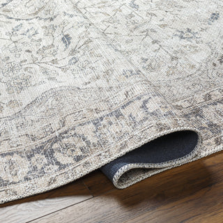 Livabliss Amelie AML-2385 Area Rug