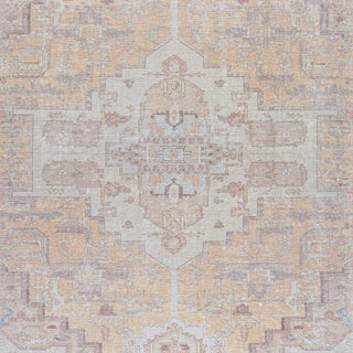 Livabliss Amelie AML-2388 Area Rug Swatch