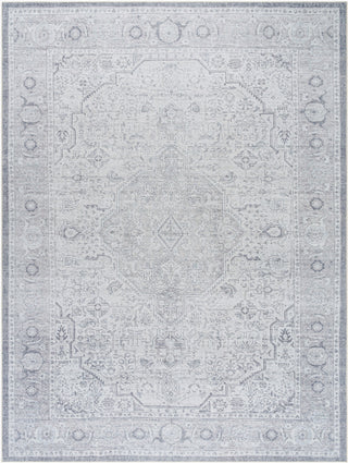 Livabliss Amelie AML-2389 Area Rug main image