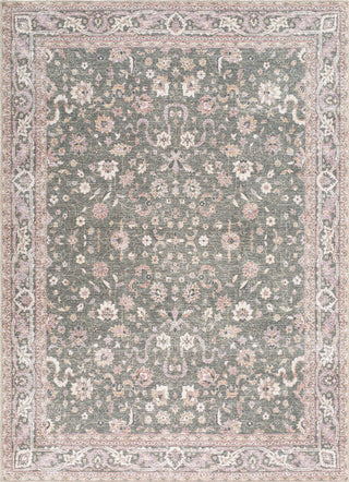Livabliss Amelie AML-2392 Machine Washable Area Rug by Surya Main