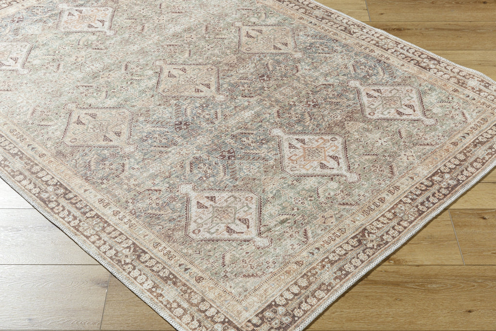 Livabliss Amelie AML-2394 Seafoam Area Rug