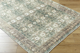 Livabliss Amelie AML-2396 Olive Area Rug