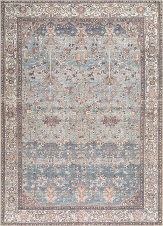 Livabliss Amelie AML-2399 Machine Washable Area Rug by Surya Main
