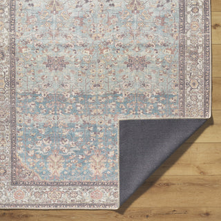Livabliss Amelie AML-2399 Machine Washable Area Rug by Surya Pile