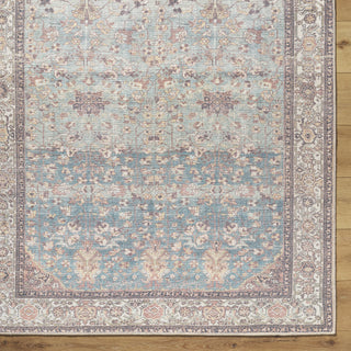Livabliss Amelie AML-2399 Machine Washable Area Rug by Surya Detail