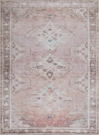 Livabliss Amelie AML-2402 Machine Washable Area Rug by Surya Main