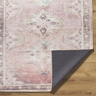 Livabliss Amelie AML-2402 Machine Washable Area Rug by Surya Pile