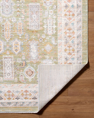 Livabliss Amir AMR-2301 Machine Washable Area Rug Pile