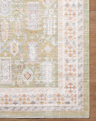 Livabliss Amir AMR-2301 Machine Washable Area Rug 