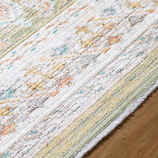 Livabliss Amir AMR-2301 Machine Washable Area Rug Detail