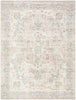 Livabliss Amir AMR-2302 Machine Washable Area Rug main image
