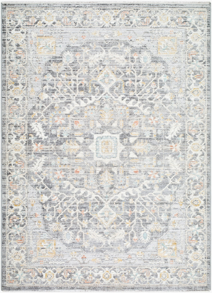 Livabliss Amir AMR-2303 The Prominent Colors In Rug Are: Silver Machine Washable Area main image