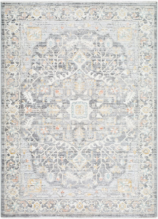 Livabliss Amir AMR-2303 The Prominent Colors In Rug Are: Silver Machine Washable Area main image