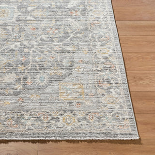 Livabliss Amir AMR-2303 The Prominent Colors In Rug Are: Silver Machine Washable Area Angle