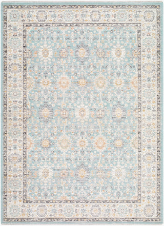 Livabliss Amir AMR-2304 Powder Blue Machine Washable Area Rug main image