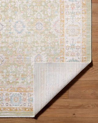 Livabliss Amir AMR-2306 Machine Washable Area Rug Pile
