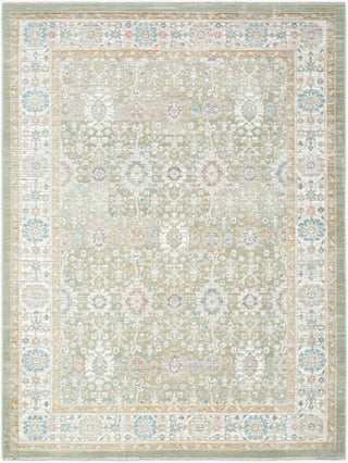Livabliss Amir AMR-2307 Machine Washable Area Rug main image