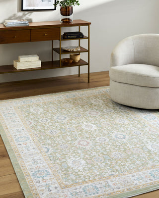 Livabliss Amir AMR-2307 Machine Washable Area Rug Room Scene
