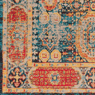 Surya Amsterdam AMS-1009 Area Rug Swatch
