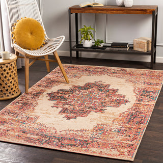 Surya Amsterdam AMS-1022 Area Rug Room Scene Feature