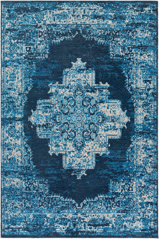 Surya Amsterdam AMS-1024 Area Rug main image