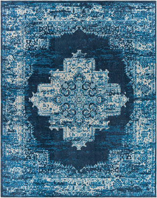 Surya Amsterdam AMS-1024 Area Rug Main