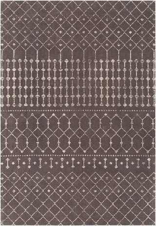 Surya Amsterdam AMS-1026 Area Rug main image