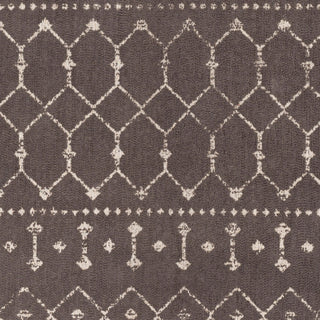 Surya Amsterdam AMS-1026 Area Rug Swatch