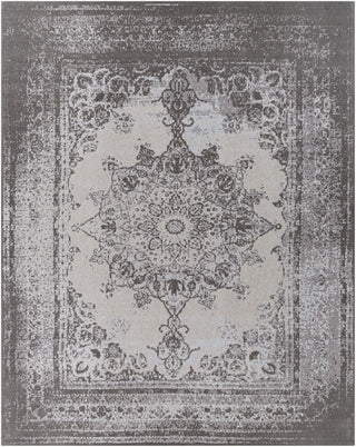 Surya Amsterdam AMS-1029 Area Rug Main