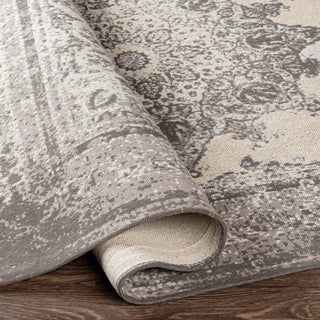 Surya Amsterdam AMS-1029 Area Rug Pile