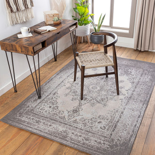 Surya Amsterdam AMS-1029 Area Rug Room Scene Feature